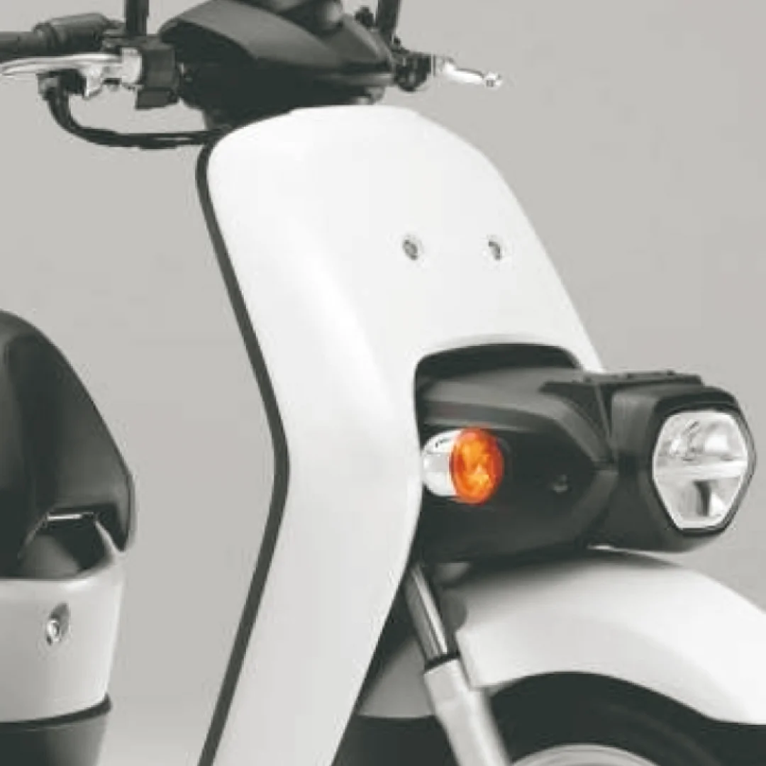 GREEN RIDE (EV BIKE)